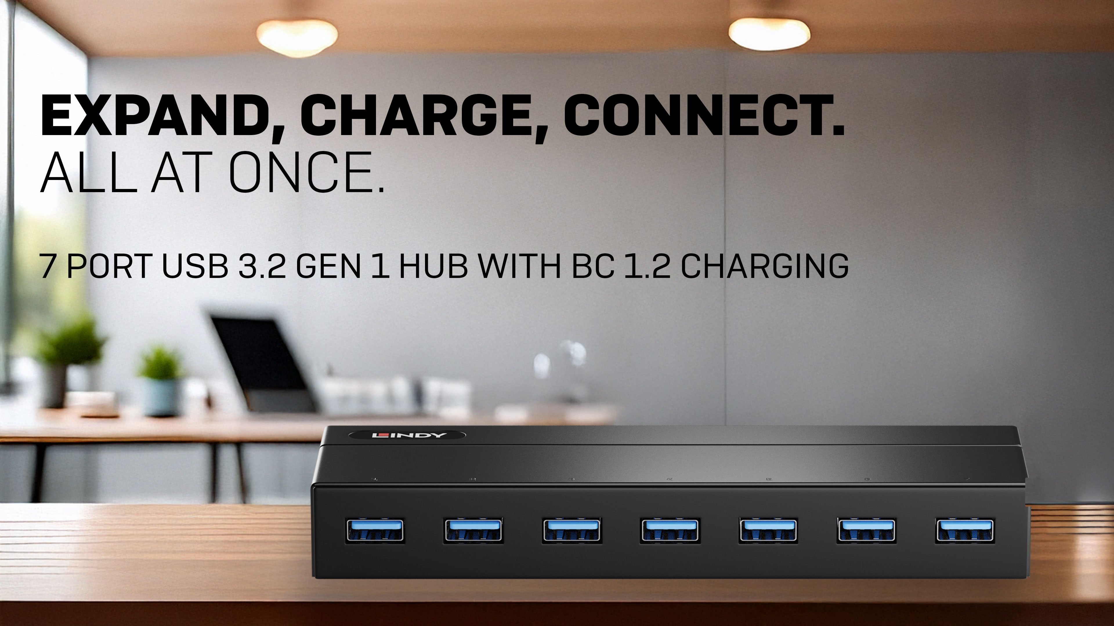 Lindy 7 Port USB 3.2 Gen 1 Hub with BC 1.2 Charging